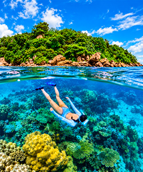Buceo Profundo Reef Explorer
